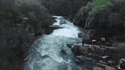 california GIF