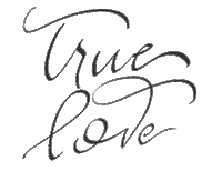 pinkinkstudio love wedding truelove pinkink Sticker