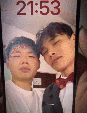 Dolphin Bromance GIF