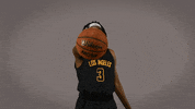 GIF by Cal State LA Golden Eagles