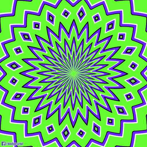 balazsvarga loop flower colorful endless GIF
