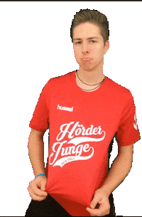 TVHoerde sports sport good volleyball Sticker