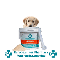 La Retrieve Sticker by Europeanpetpharmacy