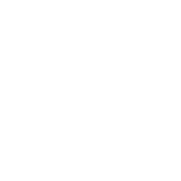 Turtle Craft Beer Sticker by Terrapin Beer Co.
