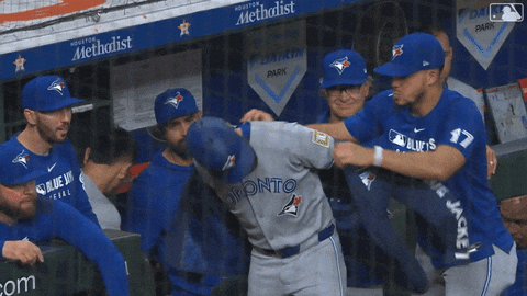 Blue Jays Baseball GIF by Toronto Blue Jays