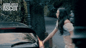 Make Up Reaction GIF by Absolutely Ascot