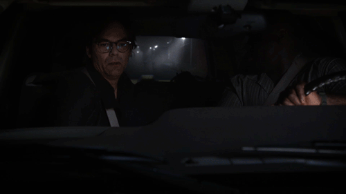 car zoo GIF by CBS