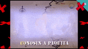 Da Tvg GIF by TVGalicia