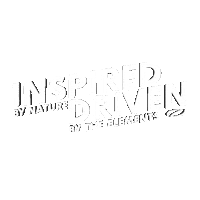 Kite Kitesurf Sticker by Ozone Italia Shop