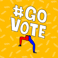 Voting Super Tuesday GIF