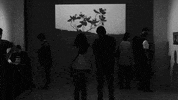 Contemporaryart GIF by Alina Sánchez
