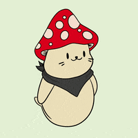 Dance Dancing GIF by Sappy Seals Community