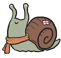 Snail Caracol Sticker