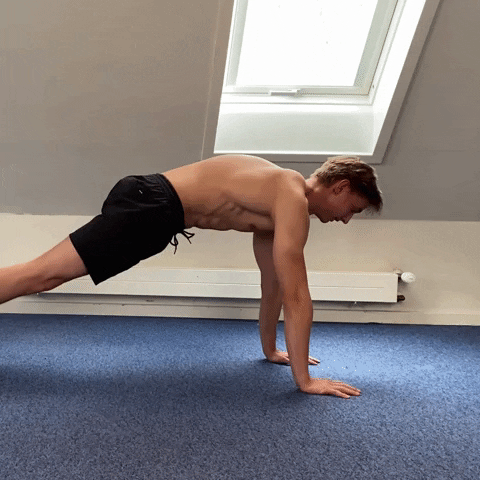 jonasgutfeltskalbo giphygifmaker GIF