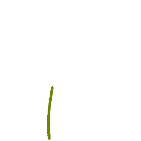 gabrielanamasco giphyupload flower green plant Sticker