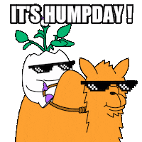 Wednesday Morning Sunglasses Sticker by Magic Eden