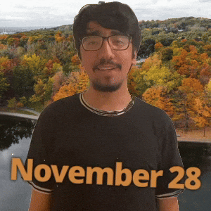 November 28