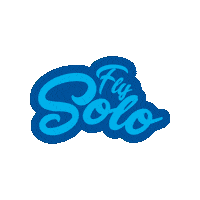 Embry-Riddle pilot eagles aviation go eagles Sticker