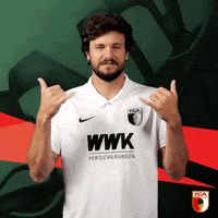 Bundesliga Tor GIF by FC Augsburg 1907