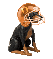 Puppy Bowl Football Sticker by WeAreDOBI