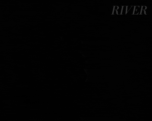 Concert Performance GIF by Madman Films