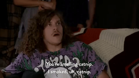 comedy central season 6 episode 3 GIF by Workaholics