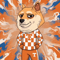College Football Mascot GIF by Doge Pound
