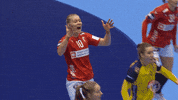 Denmark Please GIF by EHF