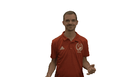 bsvleutherheide giphyupload fussball kreisliga leutherheide Sticker