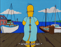 homer simpson GIF