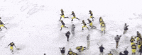 excited michigan football GIF by Michigan Athletics