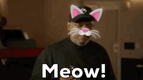 Samuel L Jackson Meow GIF by Kids' Choice Awards