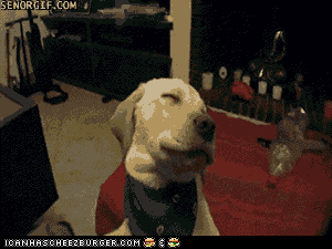 huh GIF