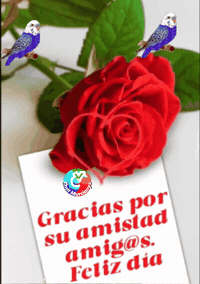 Feliz Gracias GIF by Murcianys LLC