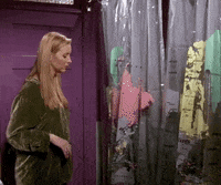 Season 4 The One With The Fake Party GIF by Friends