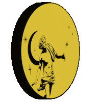 VJEMY coin vjemy vjemyink headsoftails Sticker