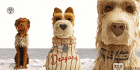 isle of dogs dog GIF by 20th Century Fox Home Entertainment