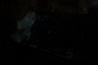 Mobsters GIF by K-Trap