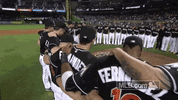miami marlins baseball GIF by MLB