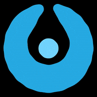 discoversup discoversupie GIF