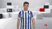 Happy Hertha Bsc GIF by Bundesliga