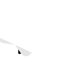 Animation Success Sticker by Keyframe Kit