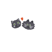 Kotmarikot cat cats cat love marikot Sticker