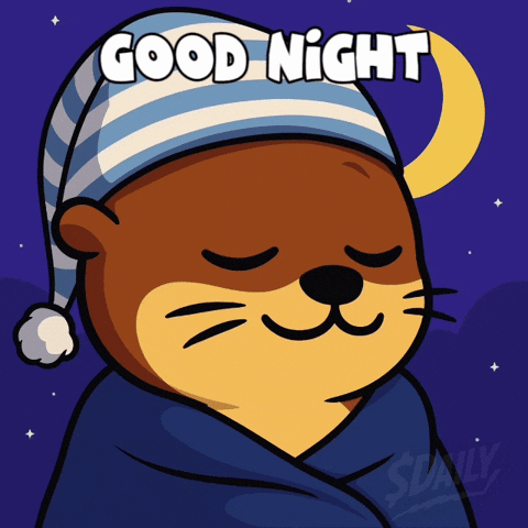 Good Night GIF by Built Daily