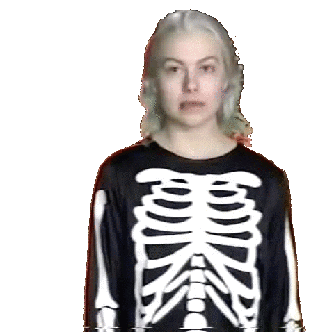 Phoebebridgers Sticker by End of an Ear