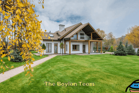 theboylanteam giphygifmaker giphyattribution GIF
