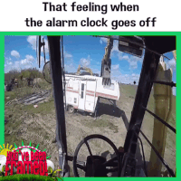 ITV GIF by You've Been Framed!