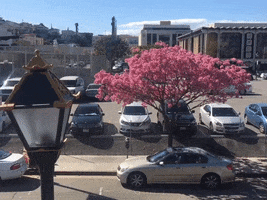 china town GIF by Justin