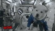 Dog Space GIF