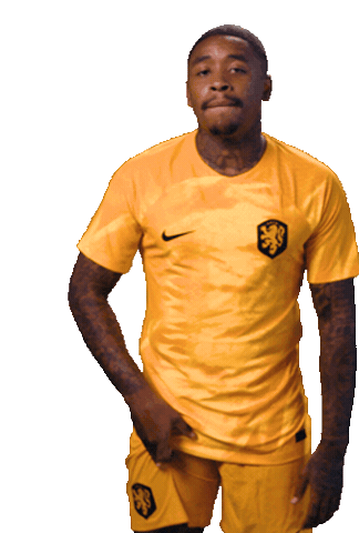Fifaworldcup Bergwijn Sticker by OnsOranje